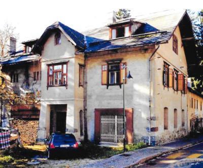 n. 11 · Maestri di pergamena e tintori